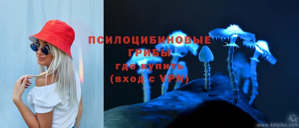 2c-b Балахна