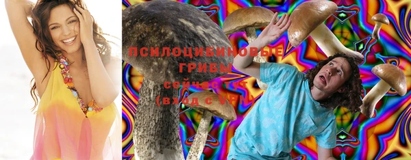 2c-b Балахна